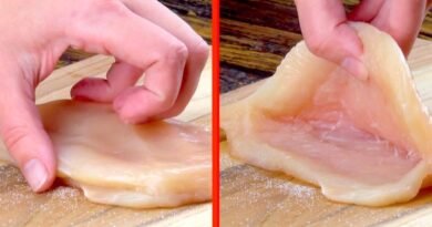 10 Dishes That Will Revolutionize Your Weekly Menu