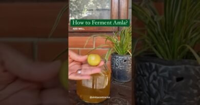 Easy Fermented amla