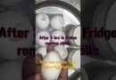 #Shorts Easter Egg Pudding/Vegan Egg Dessert Recipe