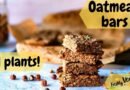 Homemade vegan oatmeal breakfast bars recipe