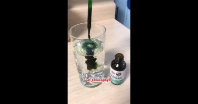 Chlorophyll Water for Summer!