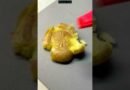 Smashed Potatoes | #recipeshorts #deliciousfood #cookingchannel #shortsvideo #smashed #youtuber