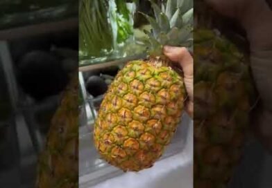 Pineapple Ginger Juice Recipe #shorts
