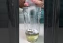 Mint Lemonade Smoothie