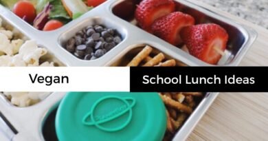 Vegan School Lunch Ideas (in a Planetbox) | Plant Based Lifestyle