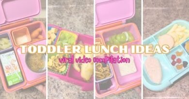 SIMPLE + EASY SCHOOL LUNCH IDEAS #schoollunch #lunchboxideas #momtok #bentobox