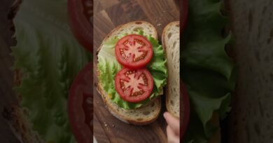 How to make a sandwich at home without mayonnaise  mayonnaise without sandwich