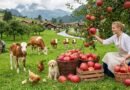 The Healing Farm Life Everyone Dreams Of | Harvest Season