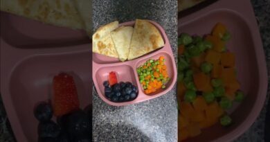 Easy Preschool Lunch Ideas | Toddler Lunch Ideas #sahm #lunchboxideas #kidslunchboxidea #blacksahm