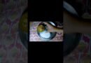 today lunch thali// bangli lunch thali// shorts # food vlog #thali # food vlog recipe