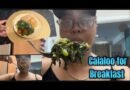 How to Make Jamaican Callaloo with Fritters | Easy Caribbean Recipe Packed with Iron!