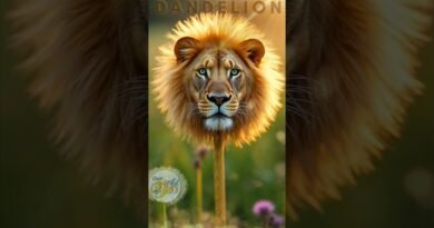 Dandelion: The Wild Superfood You Need!