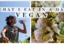 what I eat in a day | vegan recipes