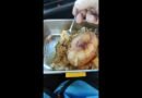 meal prep brown sugar pineapple chicken with rice in instant pot or slow cooker