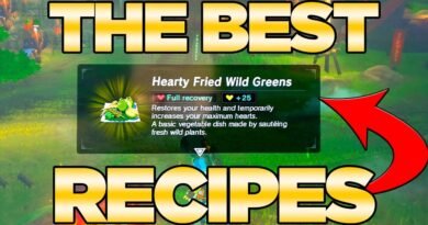 THE BEST Recipes GUIDE in Breath of the Wild – Best Dishes Cooked| Austin John Plays