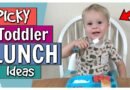 Picky Toddler Lunch Ideas | Bunches Of Lunches
