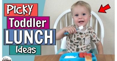 Picky Toddler Lunch Ideas | Bunches Of Lunches