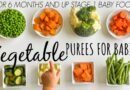 8 VEGETABLE PUREE  for babies 6 months and up