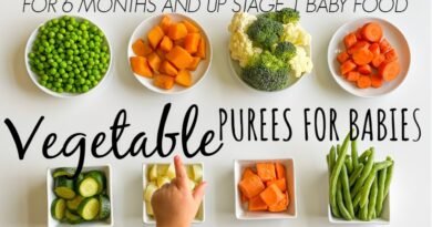 8 VEGETABLE PUREE  for babies 6 months and up