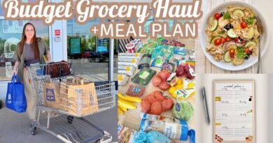 We Did Our ENTIRE Grocery Haul on a Budget + Meal Plan & Lunch Recipe