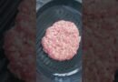 Beef patty | Stock Shorts