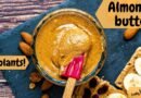 Homemade easy blender almond butter recipe