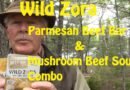Wild Zora Meat Bar and Soup Combo