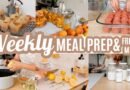 EASY BUDGET FRIENDLY WEEKLY MEAL PREP RECIPES LARGE FAMILY MEALS WHATS FOR DINNER FREEZER MEALS