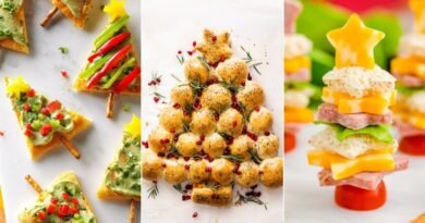 Easy Christmas Appetizers Recipes | Holiday Appetizer Ideas | Delicious Christmas Appetizer
