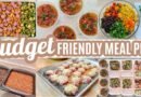 EASY BUDGET FRIENDLY WEEKLY MEAL PREP RECIPES LARGE FAMILY MEALS WHATS FOR DINNER FREEZER MEALS