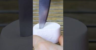 Is Stuffed CHOCOLATE The Game Changer For S’mores Lovers?